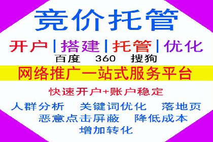 创新广告策略：专业SEM托管的典型案例研究